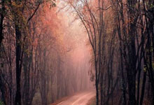 南特客场战胜里尔，重获胜利