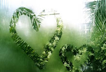 球队表现出色，豪夺重要胜利